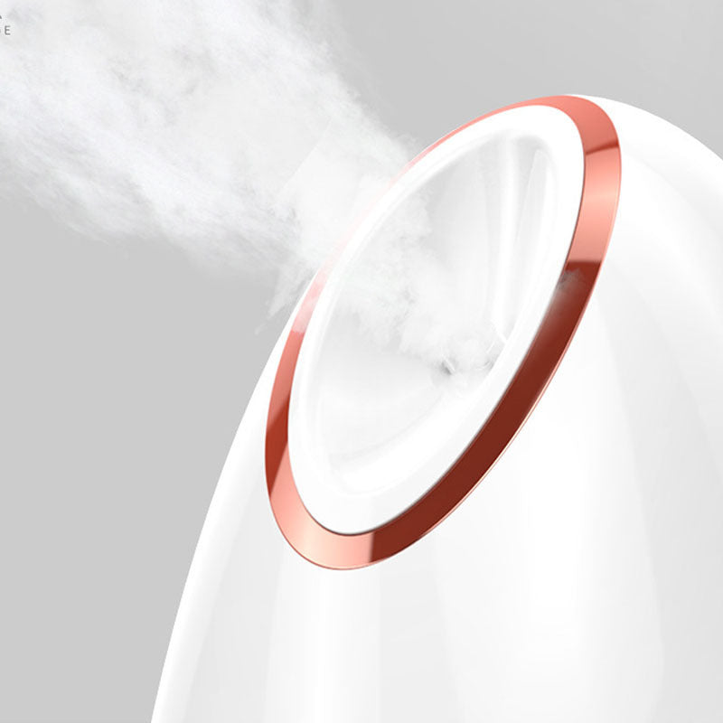Nano Thermal Spray Face Steamer – Deep Hydration & Glow Boost