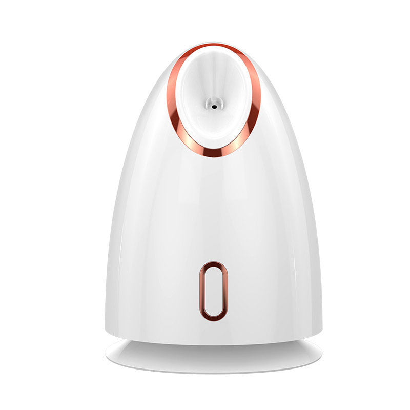 Nano Thermal Spray Face Steamer – Deep Hydration & Glow Boost