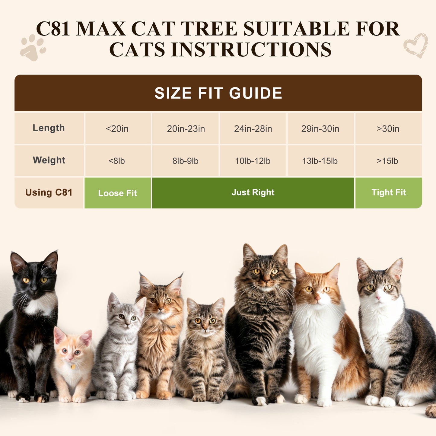81 Inch Cat Climbing Rack
