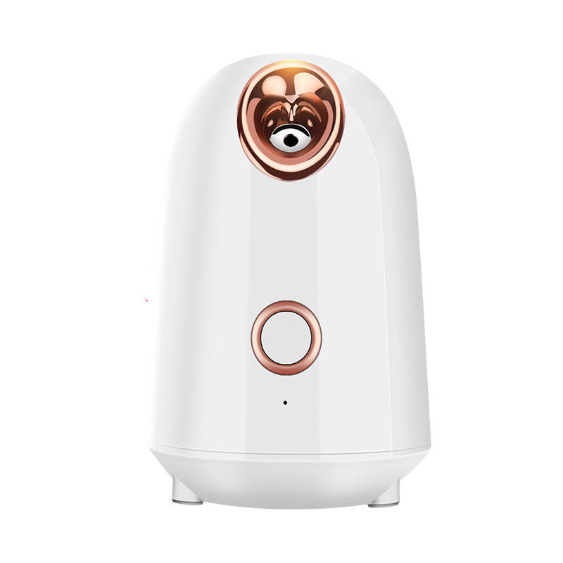 Nano Thermal Spray Face Steamer – Deep Hydration & Glow Boost