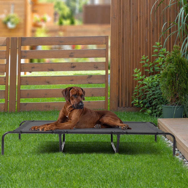 Pet Bed