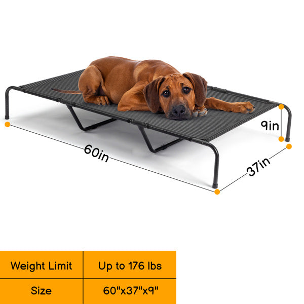Pet Bed