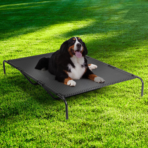 Pet Bed