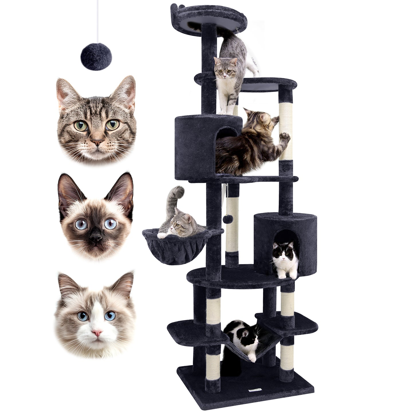 81 Inch Cat Climbing Rack