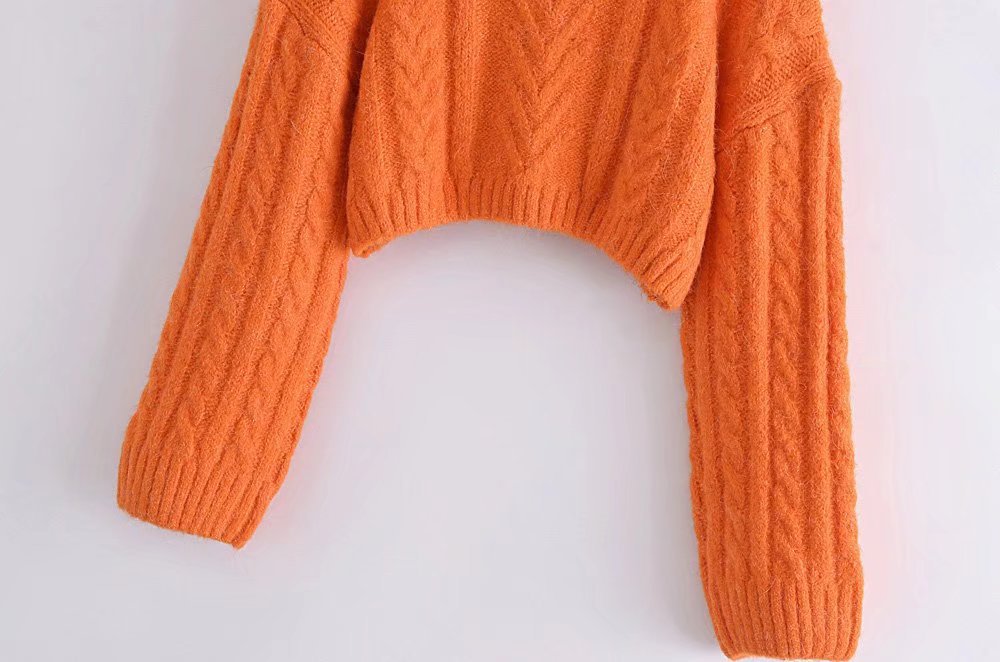 Women's Eight-strand Short Knitted Woolen Turtleneck Loose Sweater