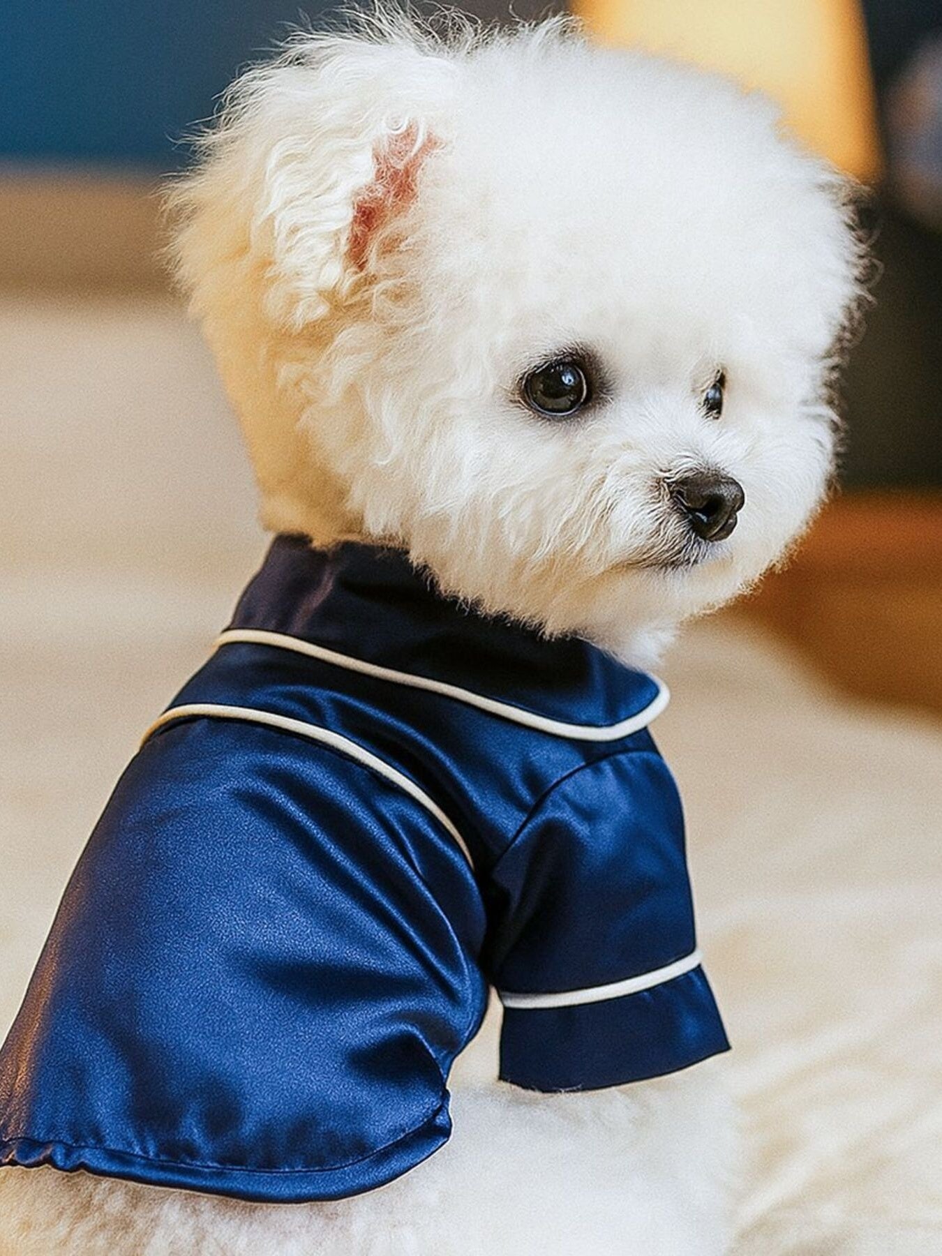 a618df92b2a54402a8b2a687f5f0284f-Max