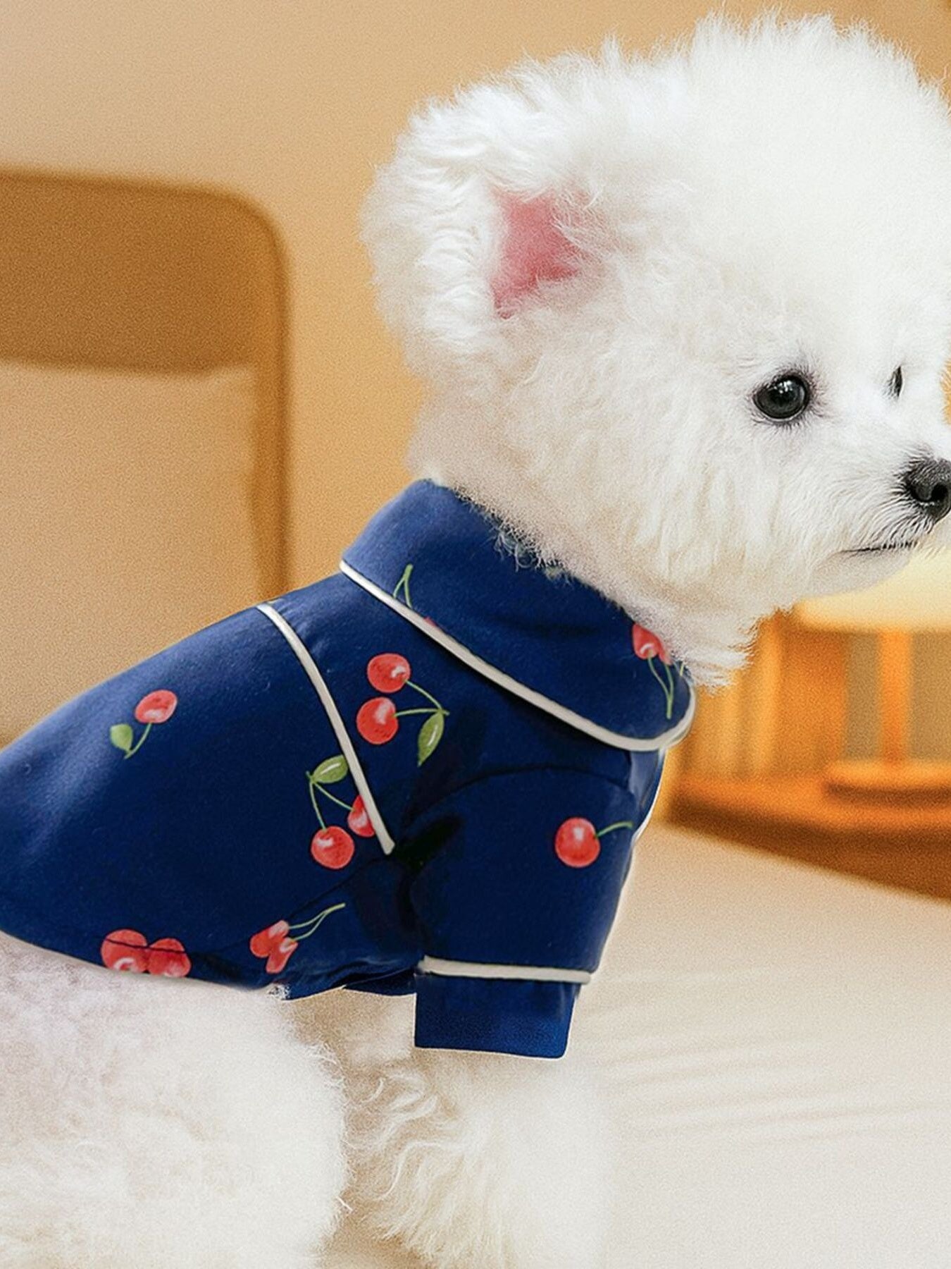 e248ab8650774b58b901d1f9cbb2ca8d-Max