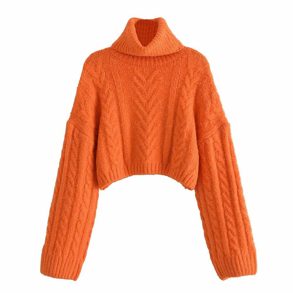 Women's Eight-strand Short Knitted Woolen Turtleneck Loose Sweater